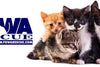 FOWA RESCUE Rescue Event: A Day of Feline Love and Compassion