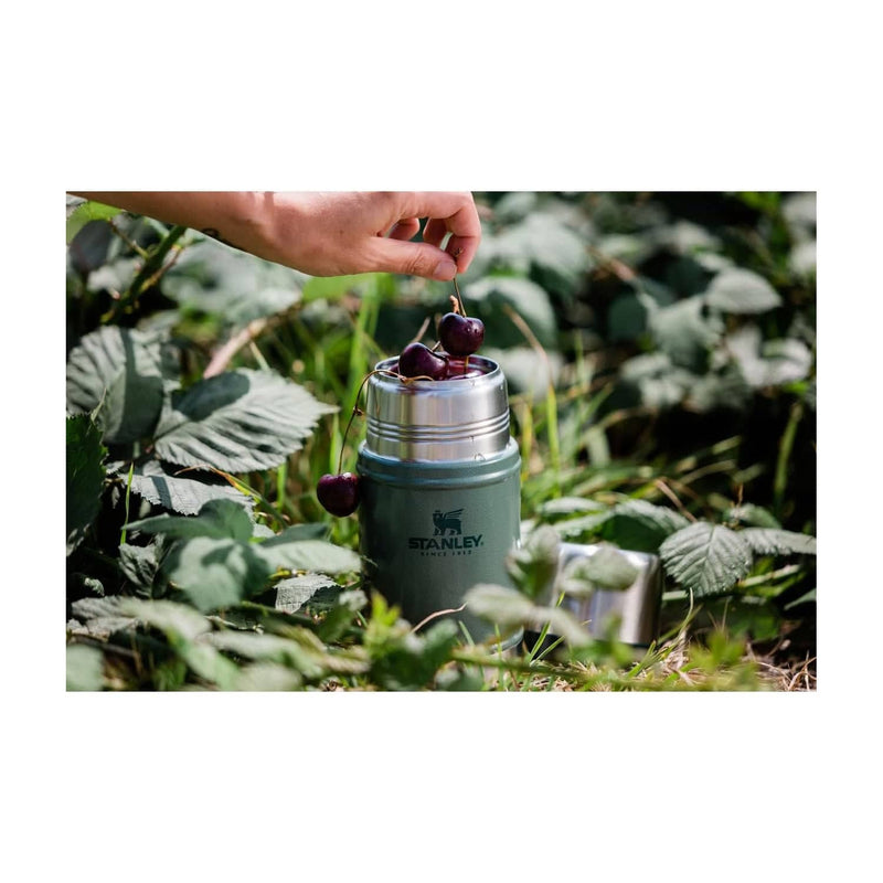 Load image into Gallery viewer, Stanley The Heritage Classic 24 oz. Food Jar