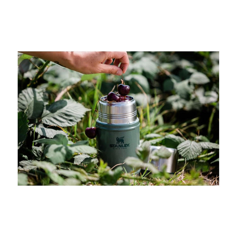 Load image into Gallery viewer, Stanley Vacuum Insulated Large Food Jar 24 oz. Thermos