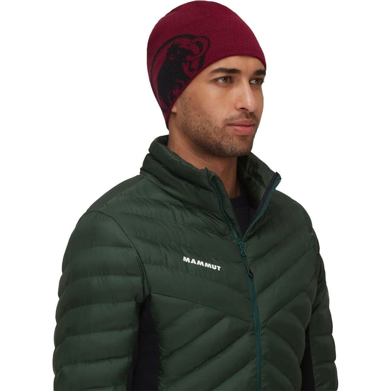 Load image into Gallery viewer, Mammut Tweak Beanie