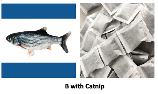 Load image into Gallery viewer, Electric Fish Funpal - Interactive Toy For Cats by Dog Hugs Cat