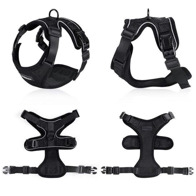 Load image into Gallery viewer, Purrfectprowl - Stylish Cat Walking Harness by Dog Hugs Cat