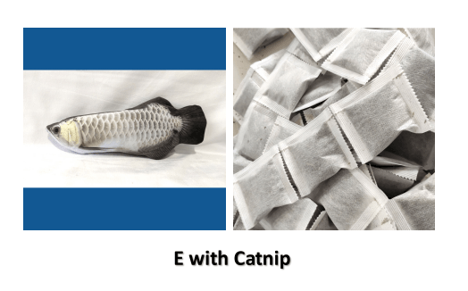 Load image into Gallery viewer, Electric Fish Funpal - Interactive Toy For Cats by Dog Hugs Cat