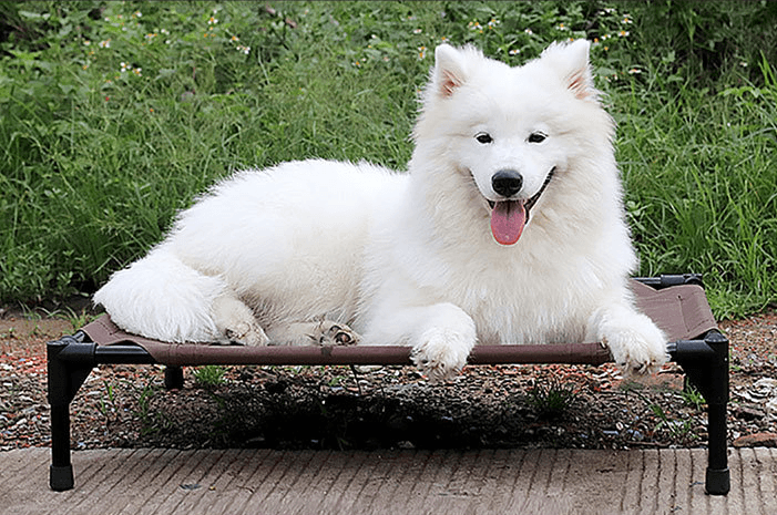 Load image into Gallery viewer, Luxury Breathable Pet Bed With Moisture-Proof Oxford Cloth And Removable Washable Stack Design by Dog Hugs Cat