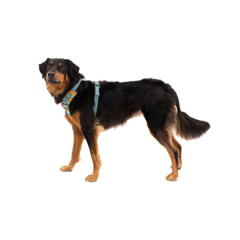 Load image into Gallery viewer, Ruffwear Front Range Harness