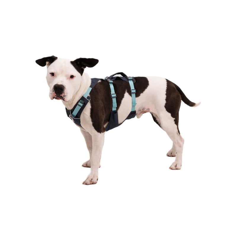 Load image into Gallery viewer, Ruffwear Flagline Harness