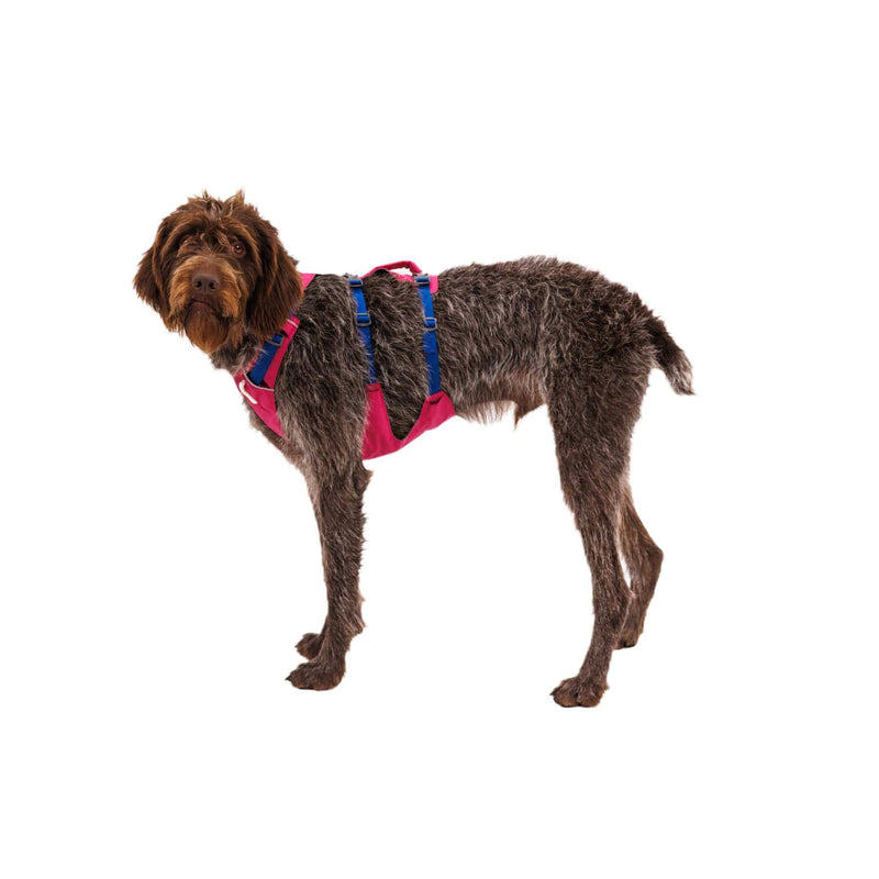 Load image into Gallery viewer, Ruffwear Flagline Harness