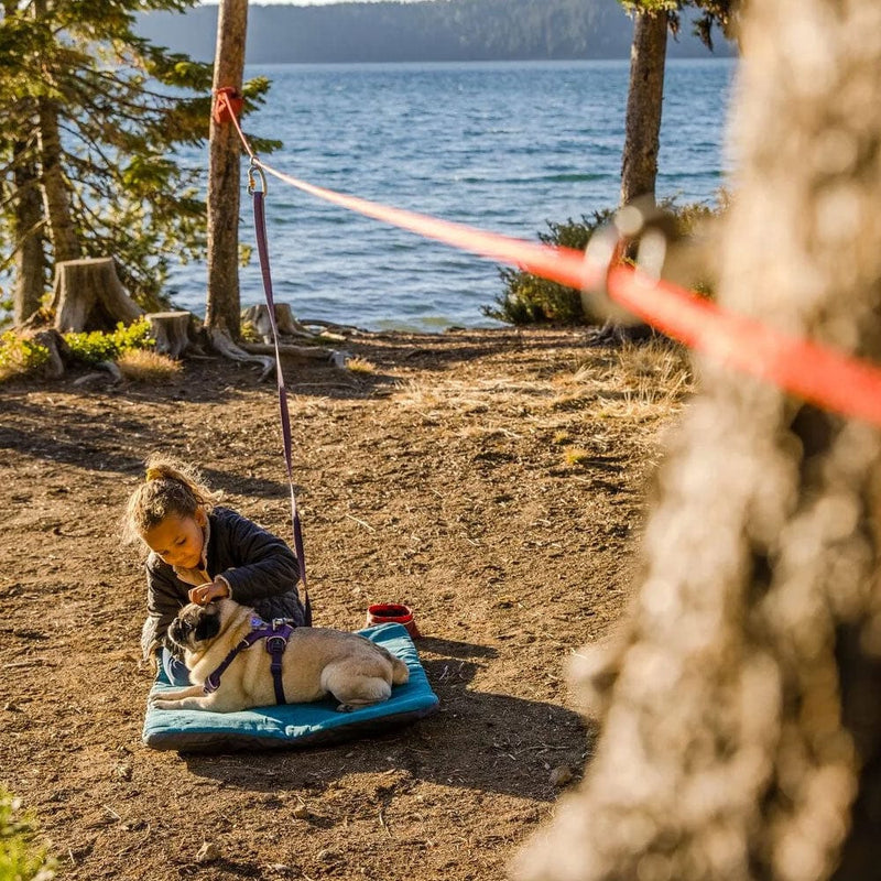 Load image into Gallery viewer, Ruffwear Knot-a-Hitch™