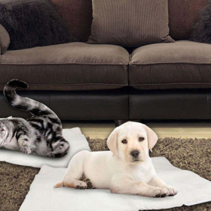 Load image into Gallery viewer, Thermal Paws️ - Self Heating Pet Blanket For Dogs And Cats by Dog Hugs Cat