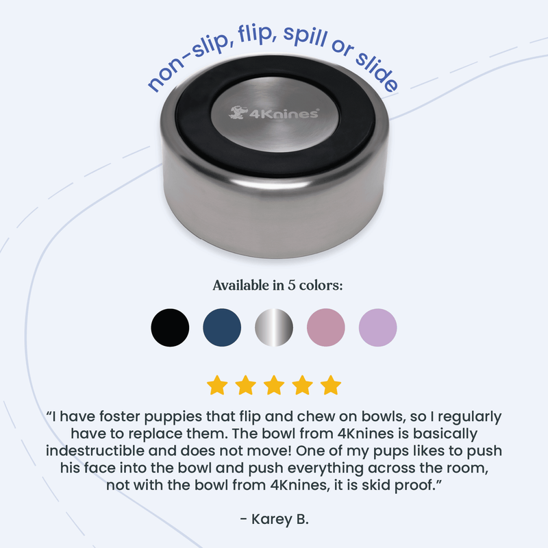 Load image into Gallery viewer, Stainless Steel Dog Bowl by 4Knines®