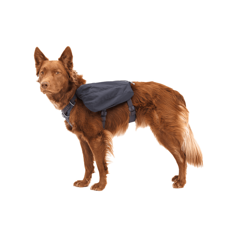 Load image into Gallery viewer, Ruffwear Front Range Day Pack