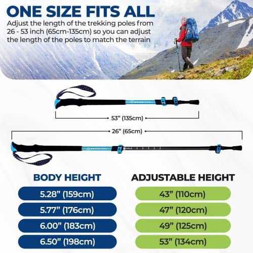 Load image into Gallery viewer, Yatta Life Adventure Pro Trekking Poles by YATTA