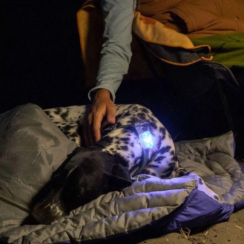Load image into Gallery viewer, Ruffwear The Beacon Safety Light