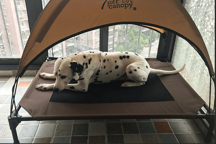 Load image into Gallery viewer, Luxury Breathable Pet Bed With Moisture-Proof Oxford Cloth And Removable Washable Stack Design by Dog Hugs Cat