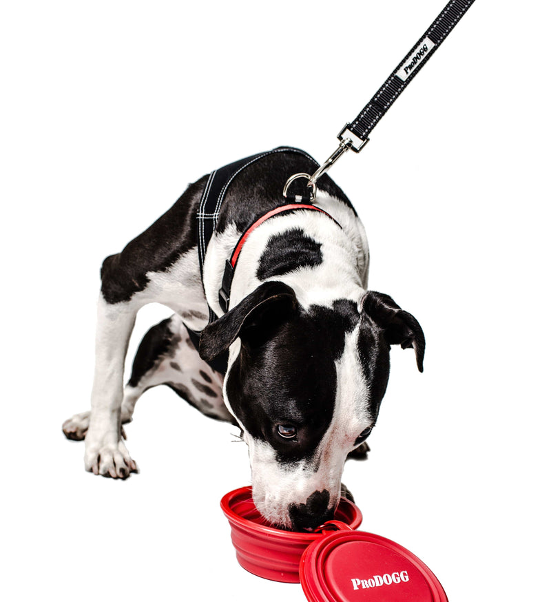 Load image into Gallery viewer, PRODOGG™ Red Collapsible Water Bowl With White Logo 195201 by ProDogg.com
