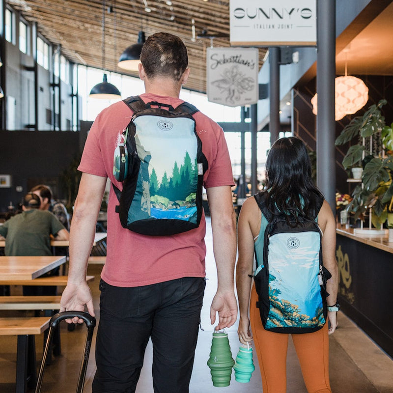 Load image into Gallery viewer, Collapsible Backpack by HYDAWAY