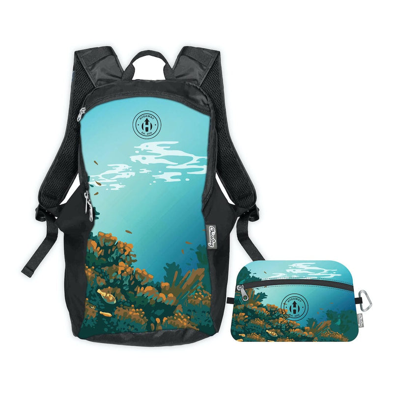 Load image into Gallery viewer, Collapsible Backpack by HYDAWAY