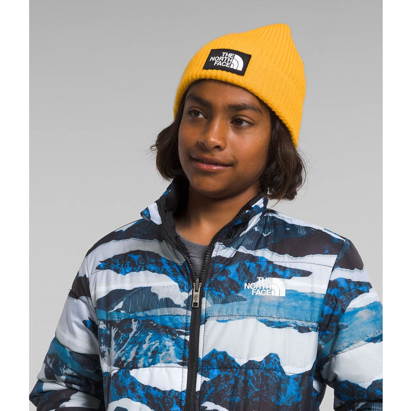 Load image into Gallery viewer, The North Face Boys' Reversible Mt Chimbo Full Zip Hooded Jacket