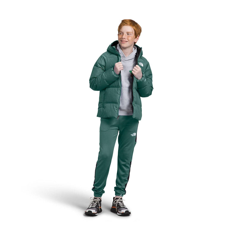Load image into Gallery viewer, The North Face Boys' Reversible North Down Hooded Jacket