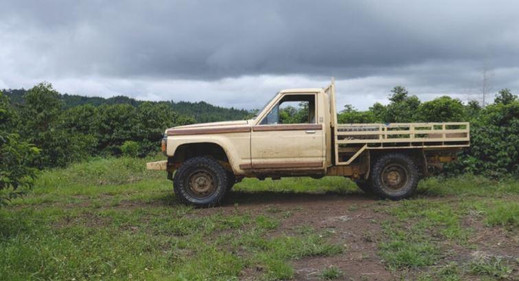 Load image into Gallery viewer, Papua New Guinea Baroida | Limited Reserve | Medium City Roast by Black Powder Coffee