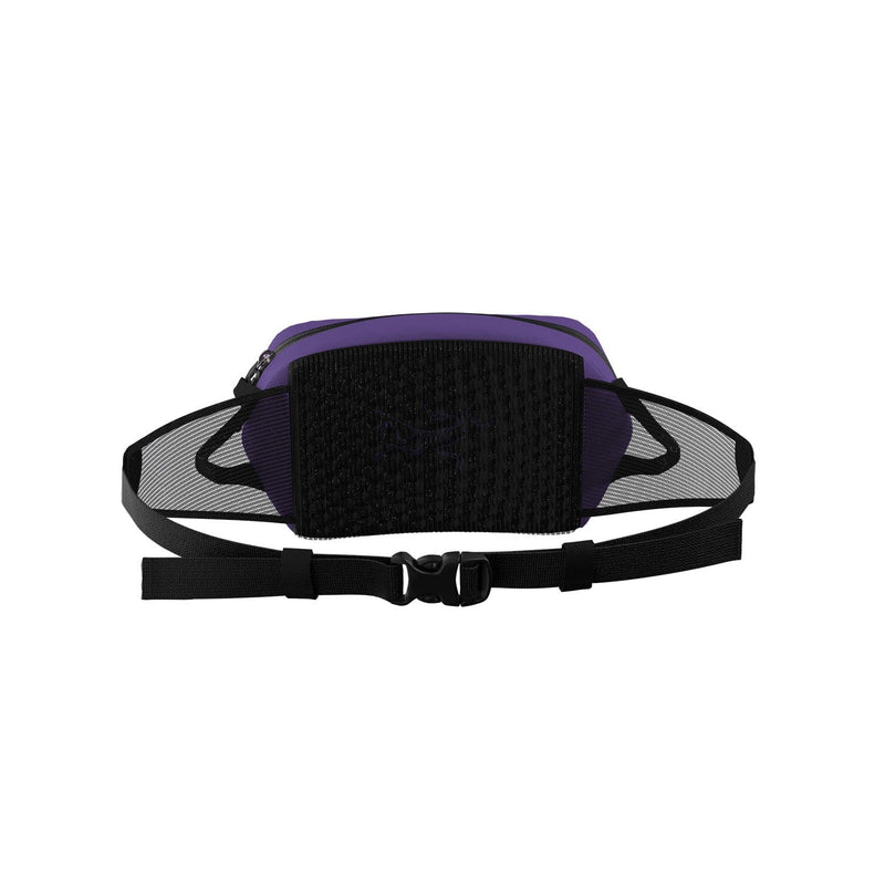 Load image into Gallery viewer, Arc'teryx Arro Waist Pack