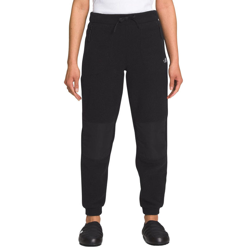 Load image into Gallery viewer, The North Face Women's Alpine Polartec 200 Pant