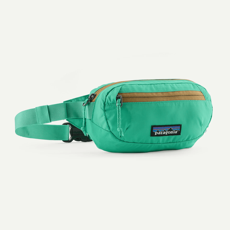 Load image into Gallery viewer, Green waist bag with Patagonia logo on a white background