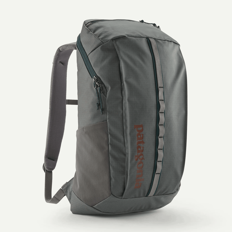 Load image into Gallery viewer, Gray backpack with Patagonia branding on a white background