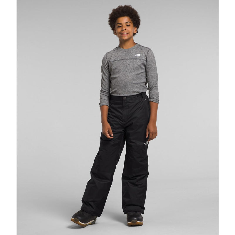 Load image into Gallery viewer, The North Face Boys' Freedom Insulated Pant