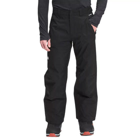 The North Face Men's Seymore Pant