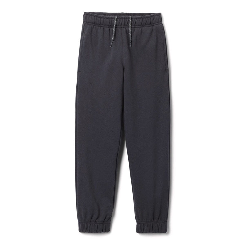 Load image into Gallery viewer, Dark gray sweatpants on a white background