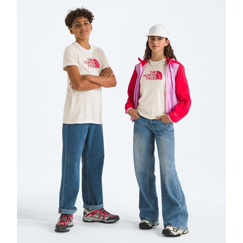 Load image into Gallery viewer, The North Face Teen Half Dome Tee