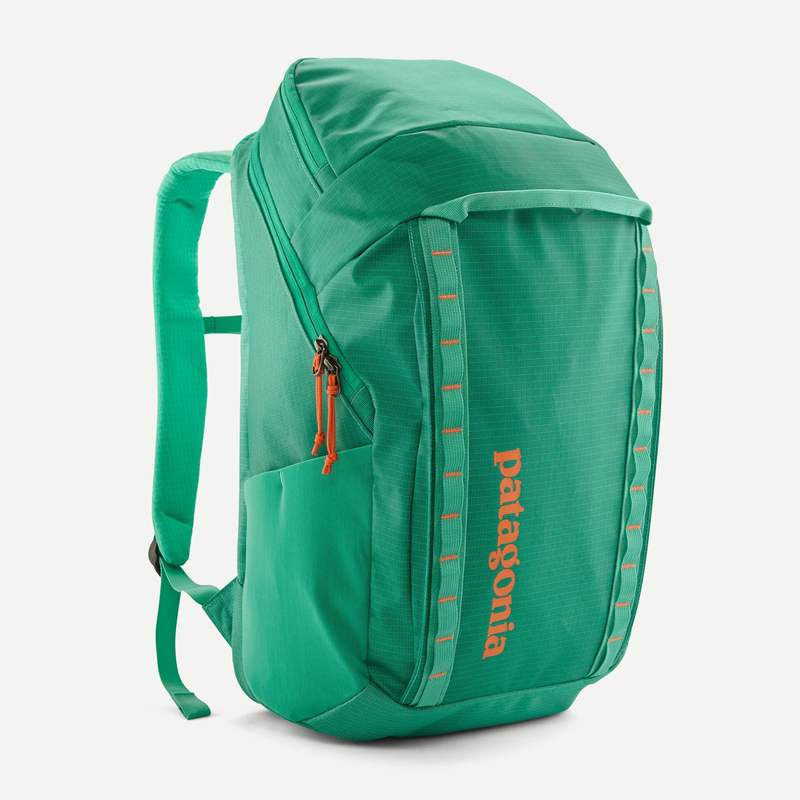 Load image into Gallery viewer, Patagonia Black Hole Pack 32L