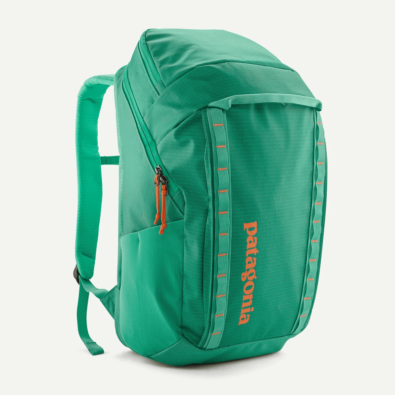 Load image into Gallery viewer, Green backpack with Patagonia branding on a white background