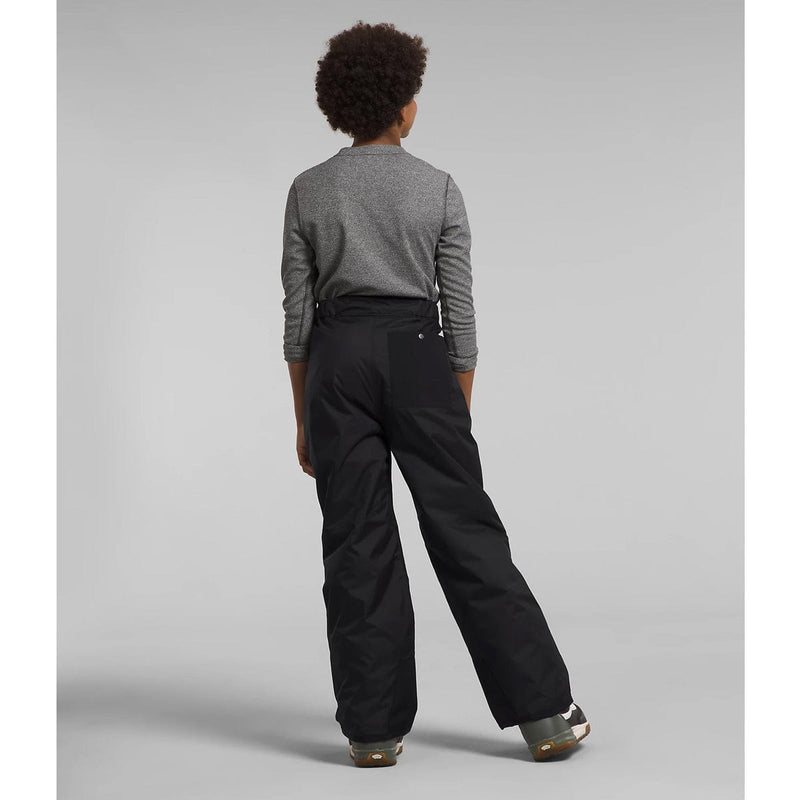Load image into Gallery viewer, The North Face Boys' Freedom Insulated Pant