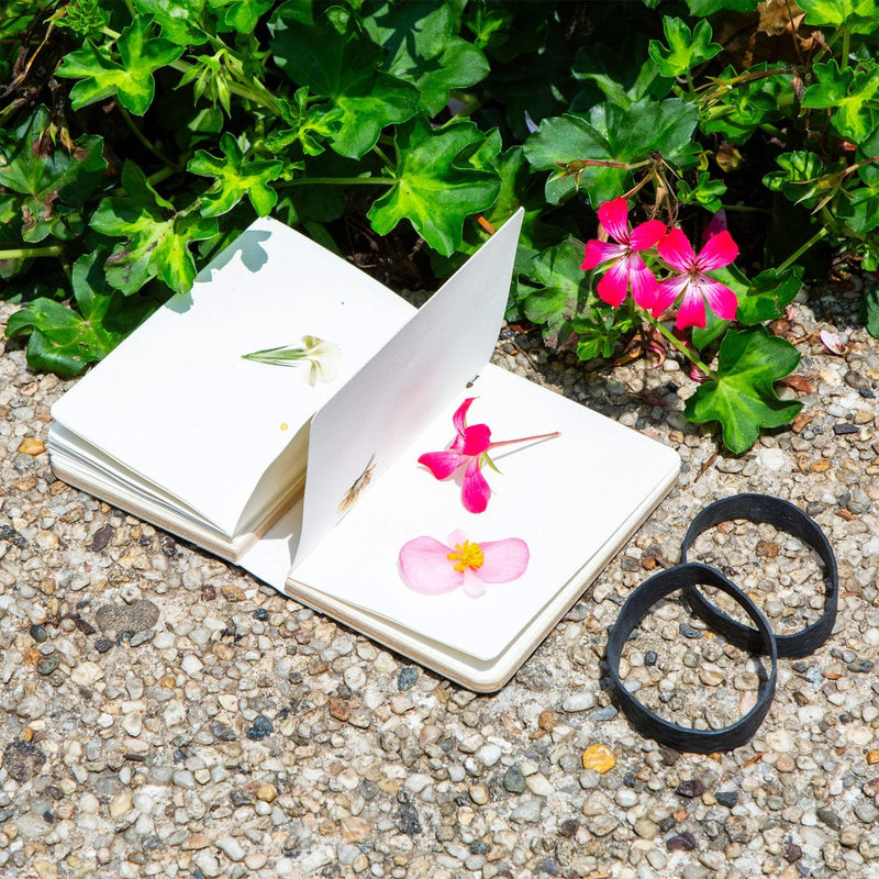 Load image into Gallery viewer, Open book with pressed flowers on a pebbled surface with greenery in the background