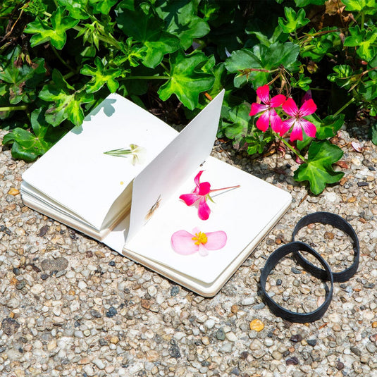 Open book with pressed flowers on a pebbled surface with greenery in the background