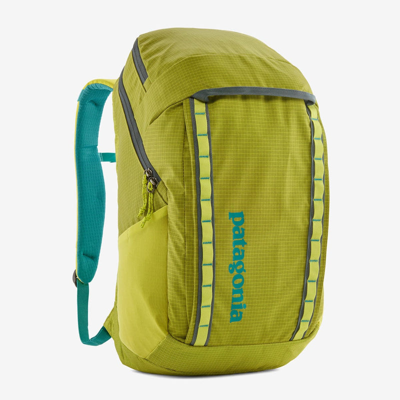 Load image into Gallery viewer, Patagonia Black Hole Pack 32L