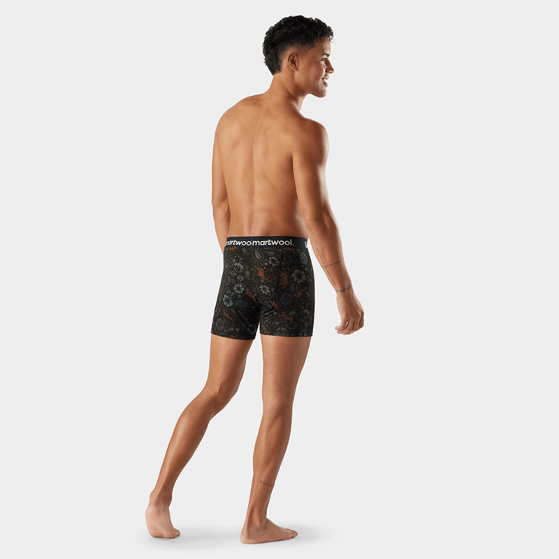 Load image into Gallery viewer, Smartwool Men's Merino Print Boxer Brief Boxed