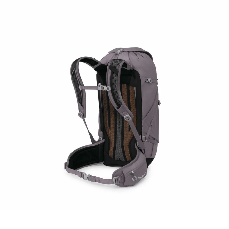 Load image into Gallery viewer, Osprey Sportlite 30 Backpack