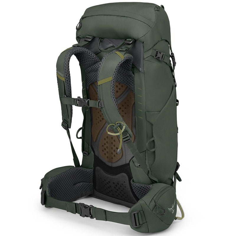 Load image into Gallery viewer, Osprey Kestrel 38 Men's Pack