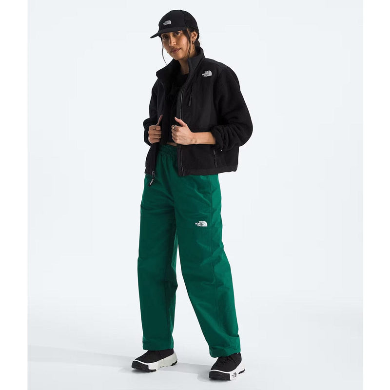 Load image into Gallery viewer, The North Face Women's Retro Denali Jacket