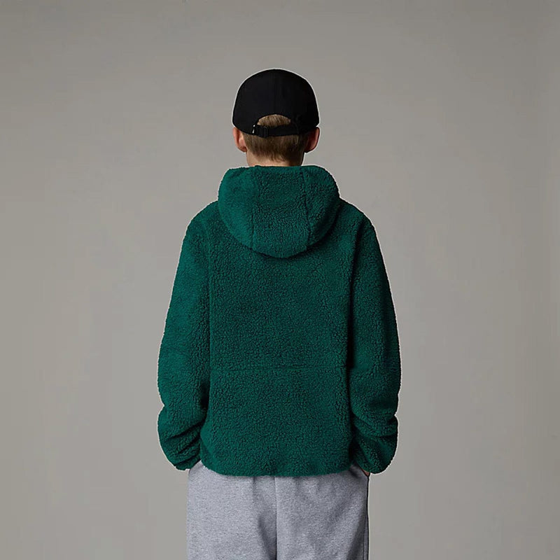 Load image into Gallery viewer, The North Face Teen Campshire Full Zip Hoodie