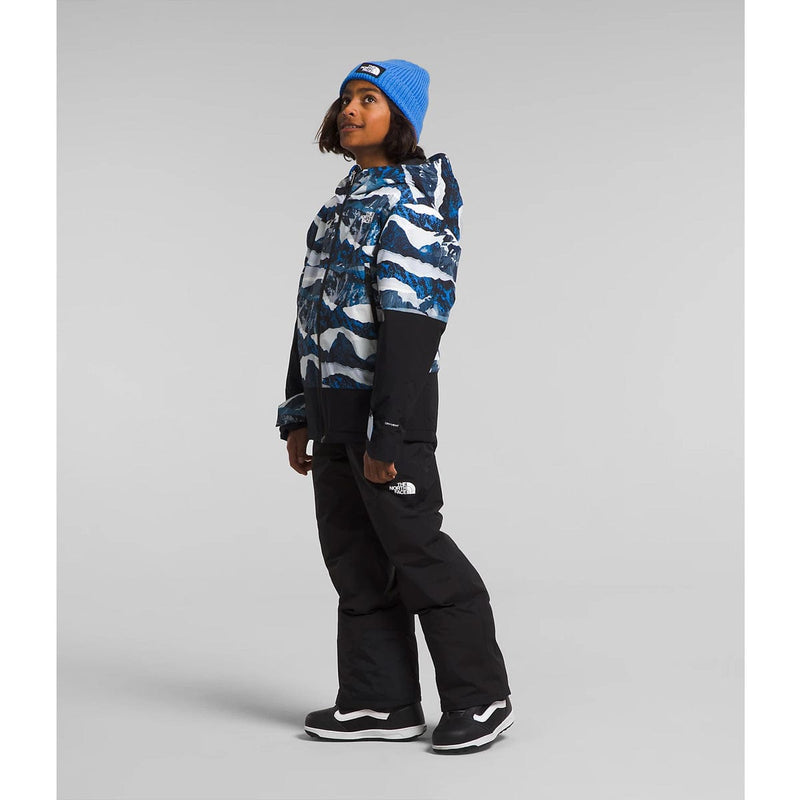 Load image into Gallery viewer, The North Face Boys' Freedom Insulated Jacket