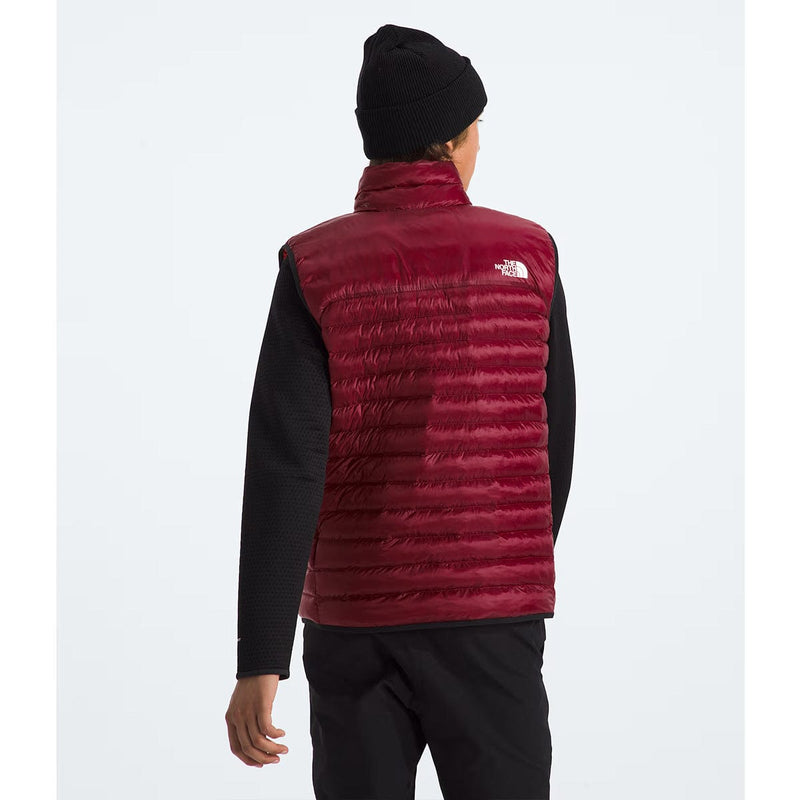 Load image into Gallery viewer, The North Face Men's Terra Peak Vest