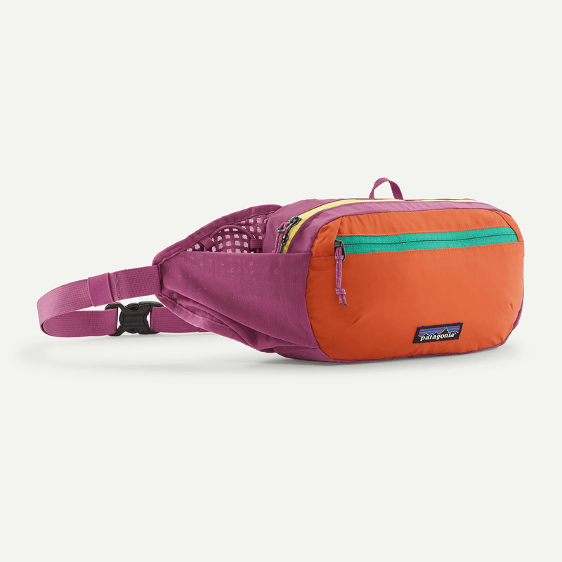 Load image into Gallery viewer, Multicolored waist bag with Patagonia logo on a white background