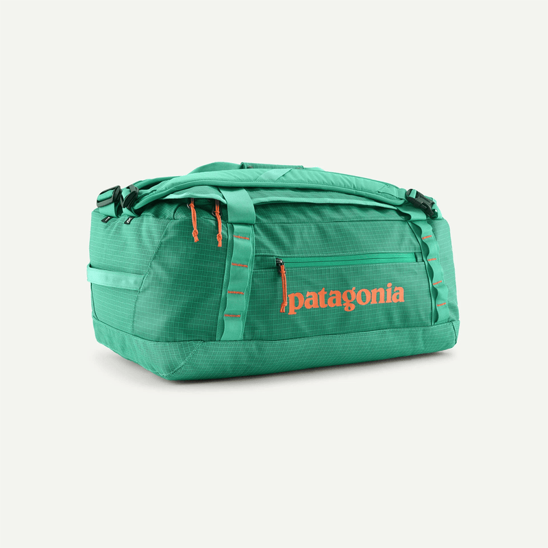 Load image into Gallery viewer, Patagonia Black Hole® Duffel 40L