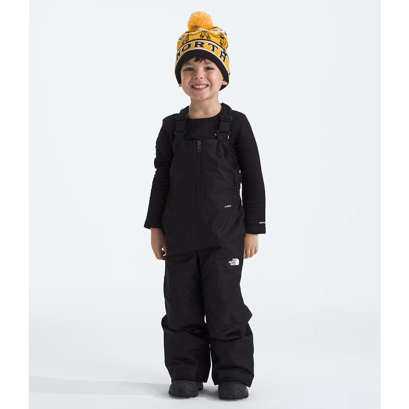 Load image into Gallery viewer, The North Face Kids' Freedom Insulated Bib