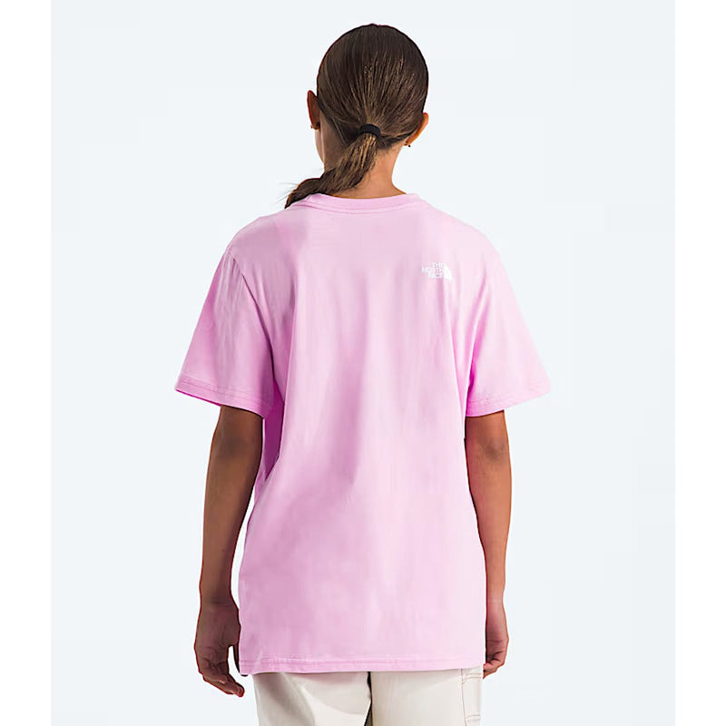 Load image into Gallery viewer, The North Face Teen Box NSE Tee