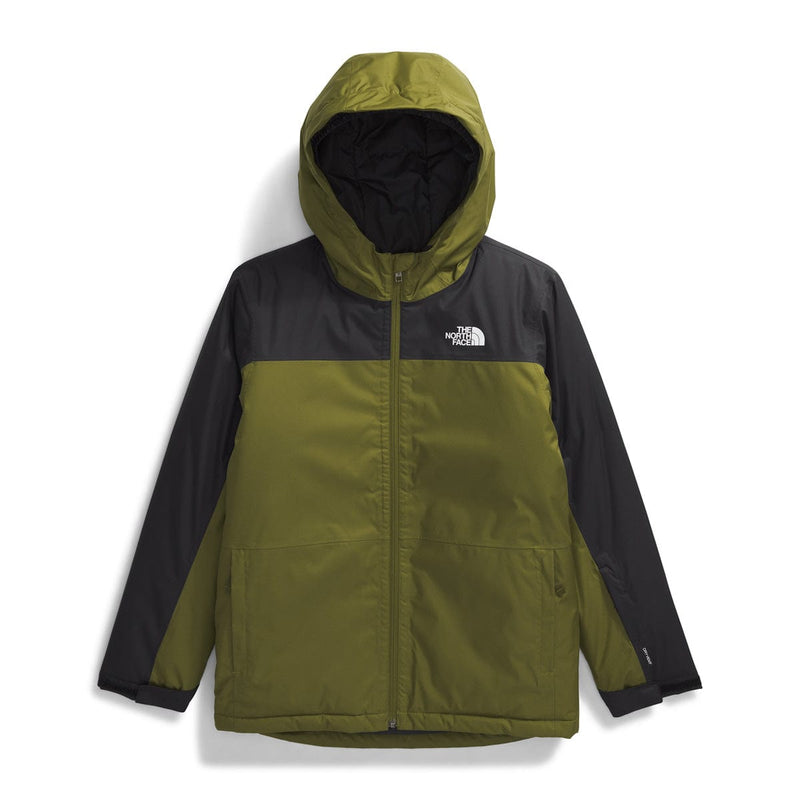 Load image into Gallery viewer, The North Face Boys' Freedom Insulated Jacket